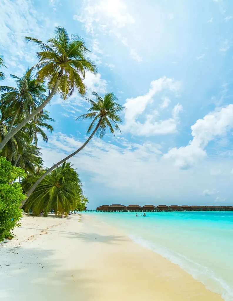 lakshadweep tour package from calicut